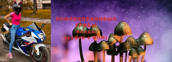 ALPHA-PVP Бикин